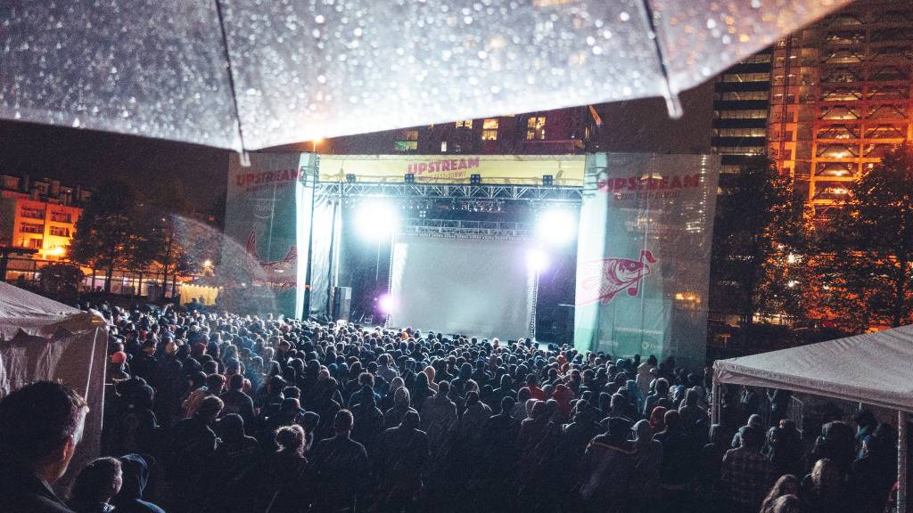 Photos and GIFs by Sofia Lee