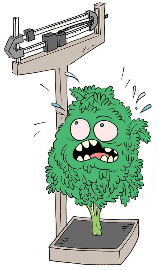 Illustration by James the Stanton