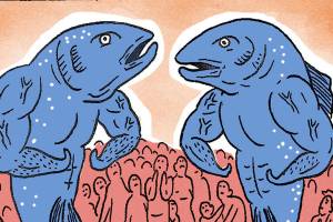 Salmon Spawn Will Have Their Revenge on Seattle