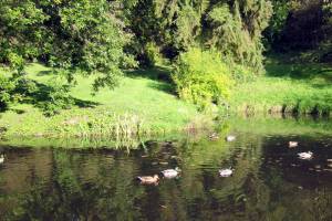 The perfect spot for a picnic, according to chef Jennifer Shea. Courtesy of Seattle Parks