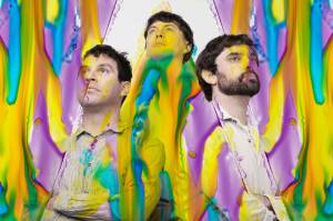 Animal Collective. Photo by Tom Andrew