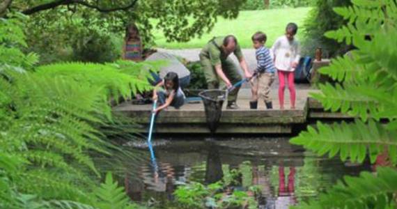 Celebrate Summer’s Therapeutic Benefits in Nature