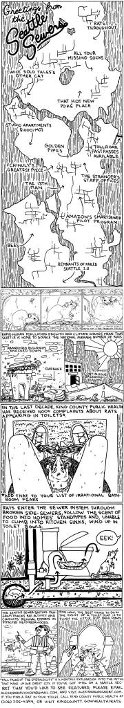 Who Do I Call if I Find a Rat In My Toilet?