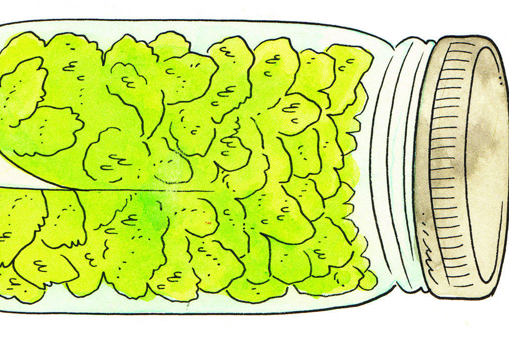 How to Stash Your Cannabis