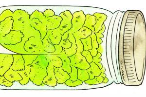 How to Stash Your Cannabis