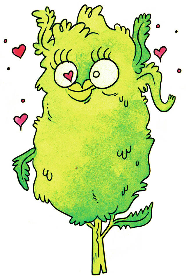 Illustration by James the Stanton