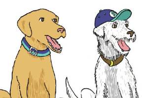 What I Really Want at a Mariner’s Game