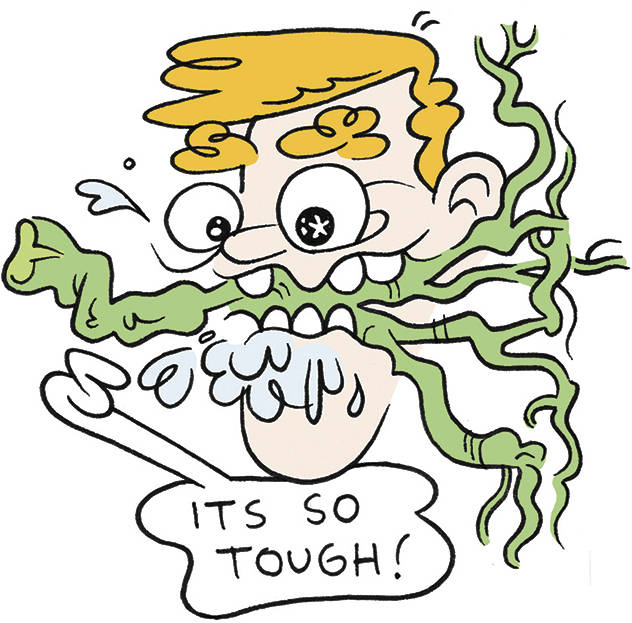 Digging Into the Medicinal Benefits of Cannabis Root