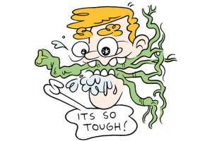 Digging Into the Medicinal Benefits of Cannabis Root