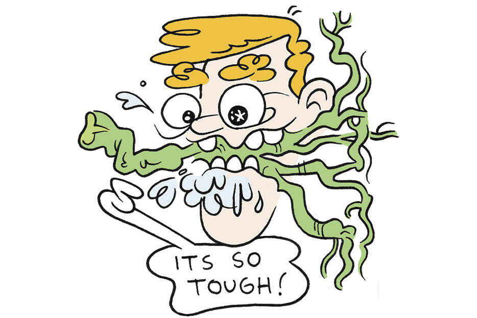 Digging Into the Medicinal Benefits of Cannabis Root