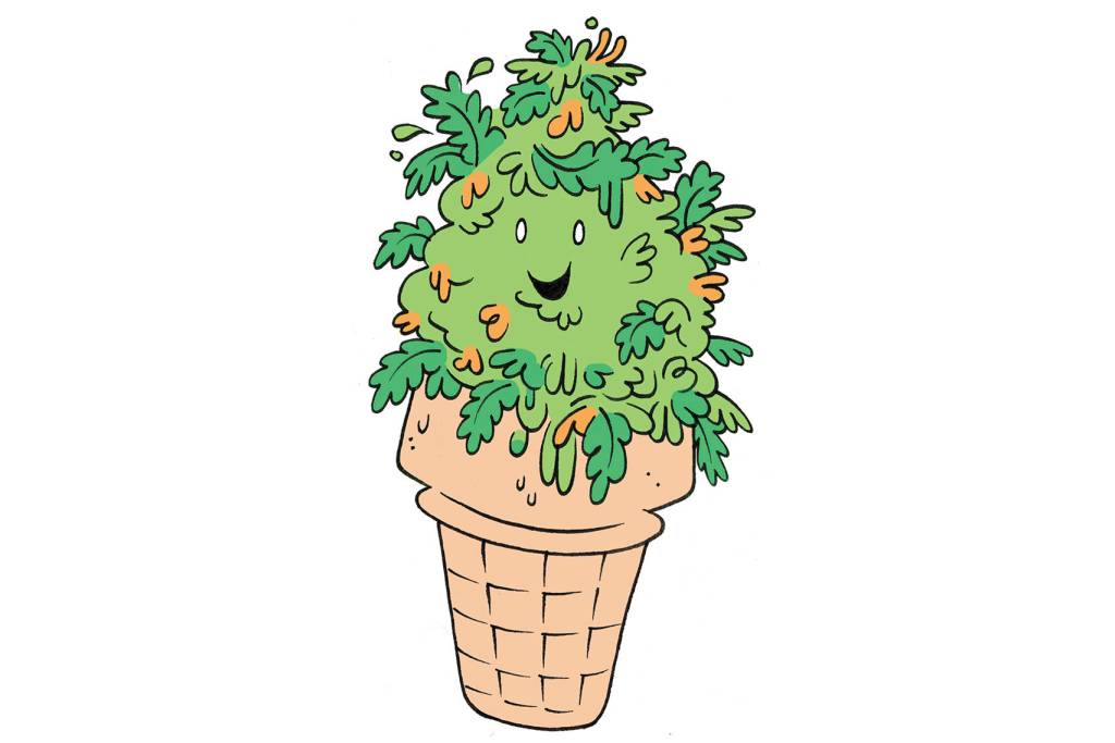 How to Make Your Own Cannabis Cold Snack