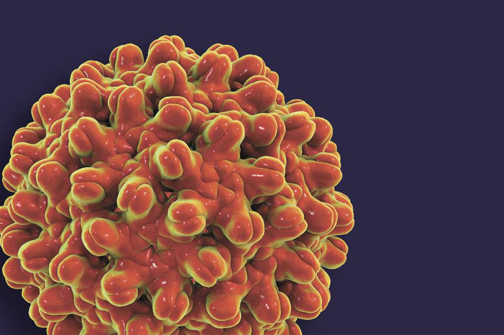 Illustration by Jose Trujillo