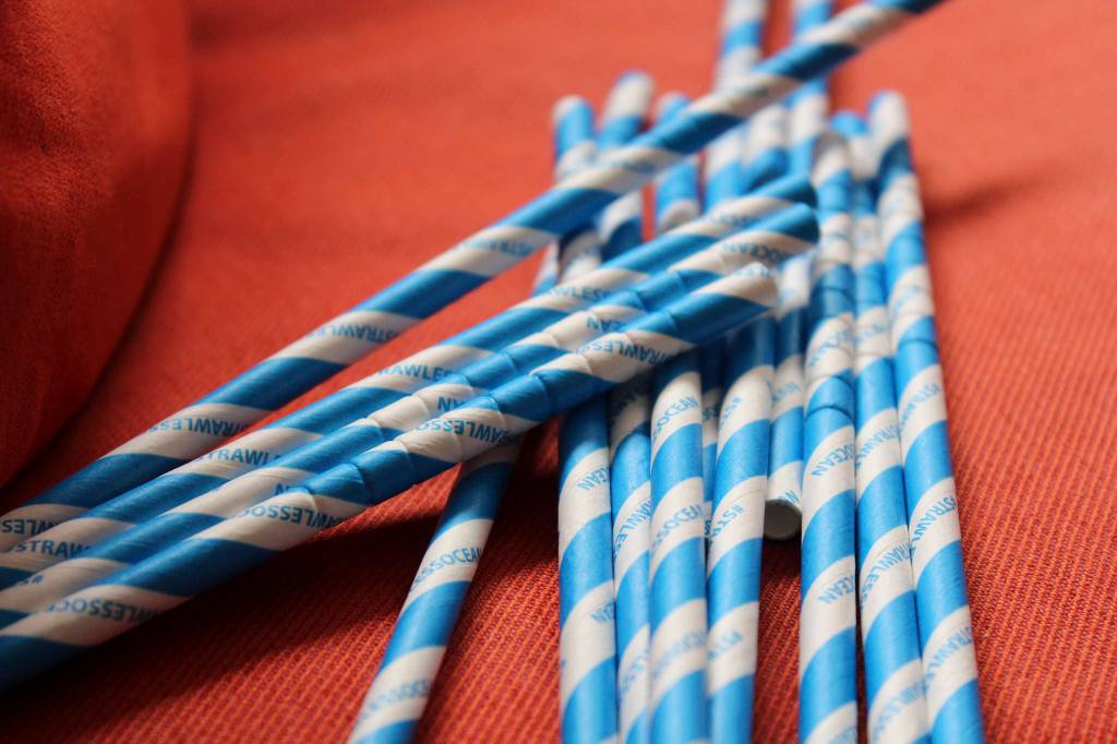 Aardvark paper straws. Photo by Sara Bernard