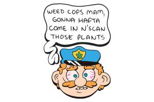 Washington May Legalize Home Grows, and I’m Not Excited About It