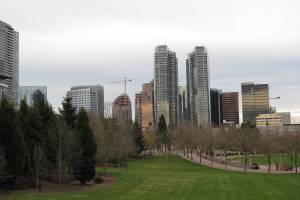 Bellevue Votes to Permanently Ban Safe-Drug Sites