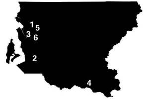A Kia Crashes Into a Cabin, Shroom Hunters Unearth a Human Skull, and the Perils of Canoeing Across Lake Washington