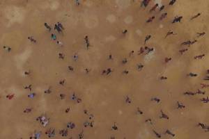 The Truth and Beauty of ‘Human Flow’