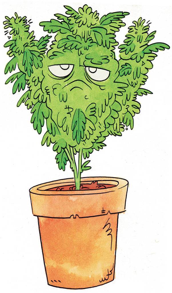 Illustration by James the Stanton