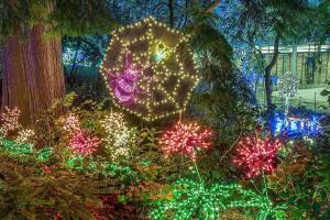 At Bellevue Botanical Garden, a Half-Million Lights Delight