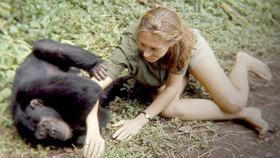 Courtesy of National Geographic Studios