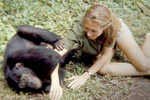 Falling in Love With ‘Jane’