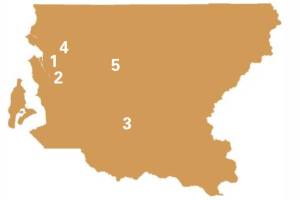 The Futures of a Skatepark, an Eagle Tree, and a Councilmember Hang in the Balance