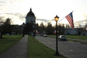 Photo by Taylor McAvoy