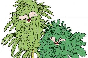 Illustration by James the Stanton