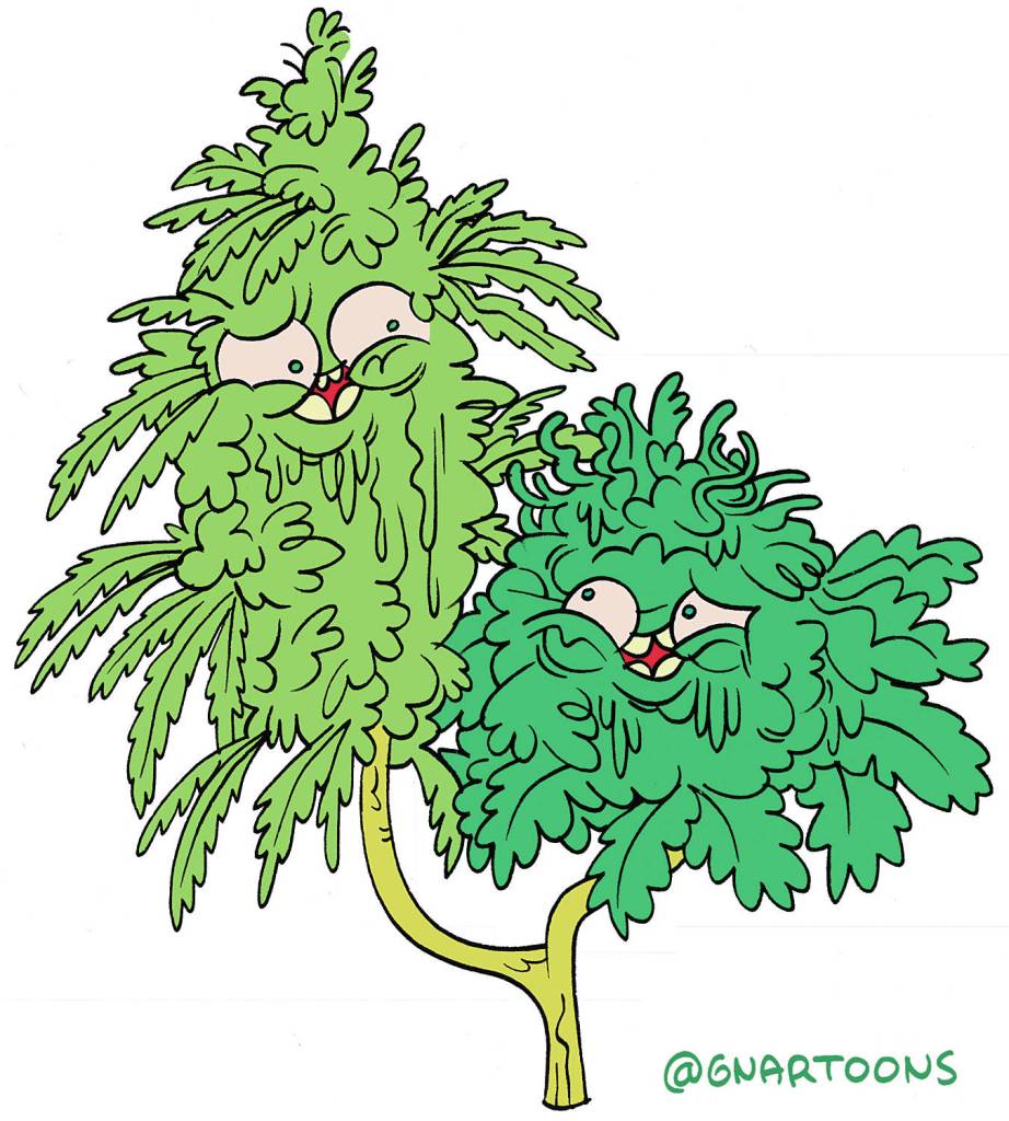 Illustration by James the Stanton