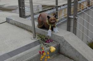 As part of Bothells arts initiative, bronze sculptures like City Kitty populate the entrance 
to the new City Hall. Photo by Katie Metzger