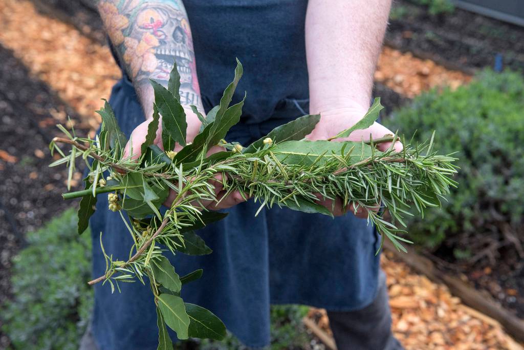 A bounty of herbs from the Quality Athletics garden. Photo by Morgen Schuler