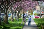 Throwing Shade: How a Lack of Trees Hurts Seattle Minorities