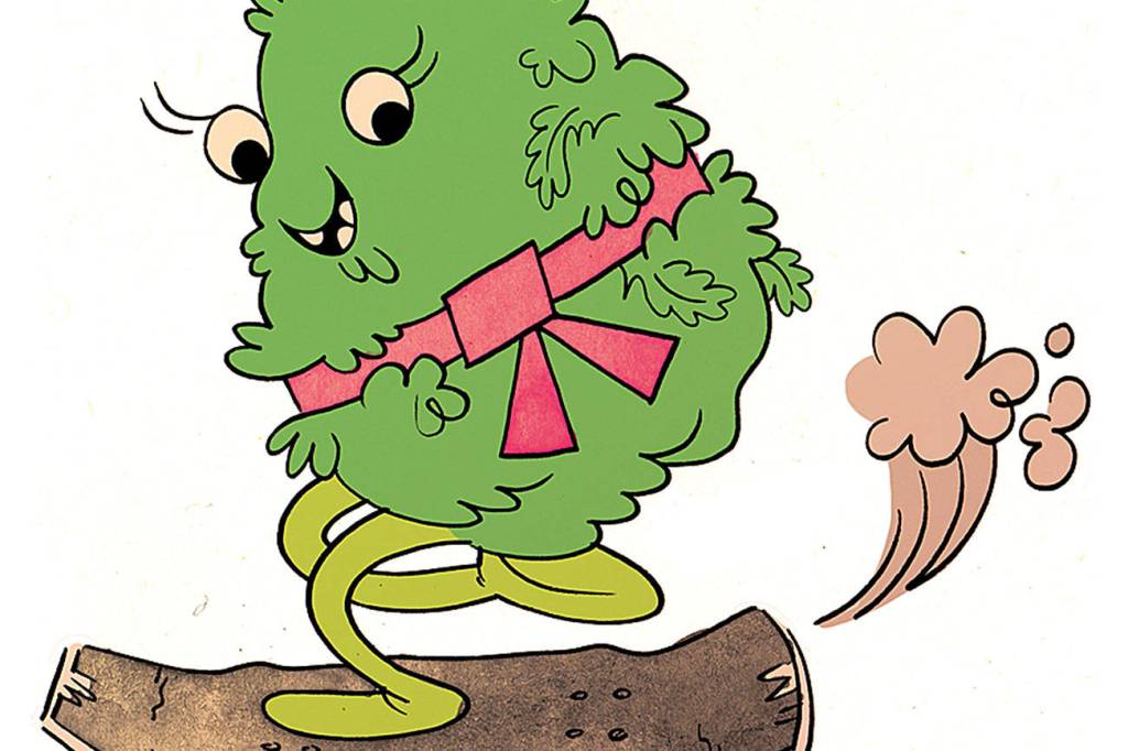 The Strains of Spring