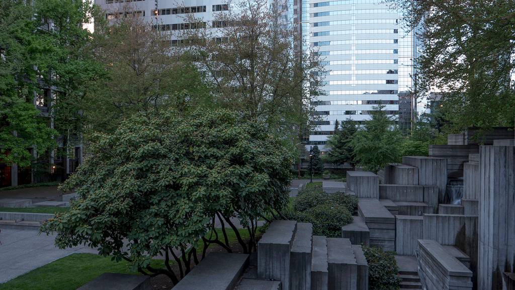 Greenery at Freeway Park. Photo by Keiko DeLuca
