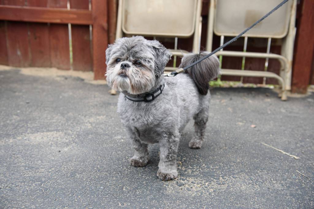 Press room superstar, Bernie.