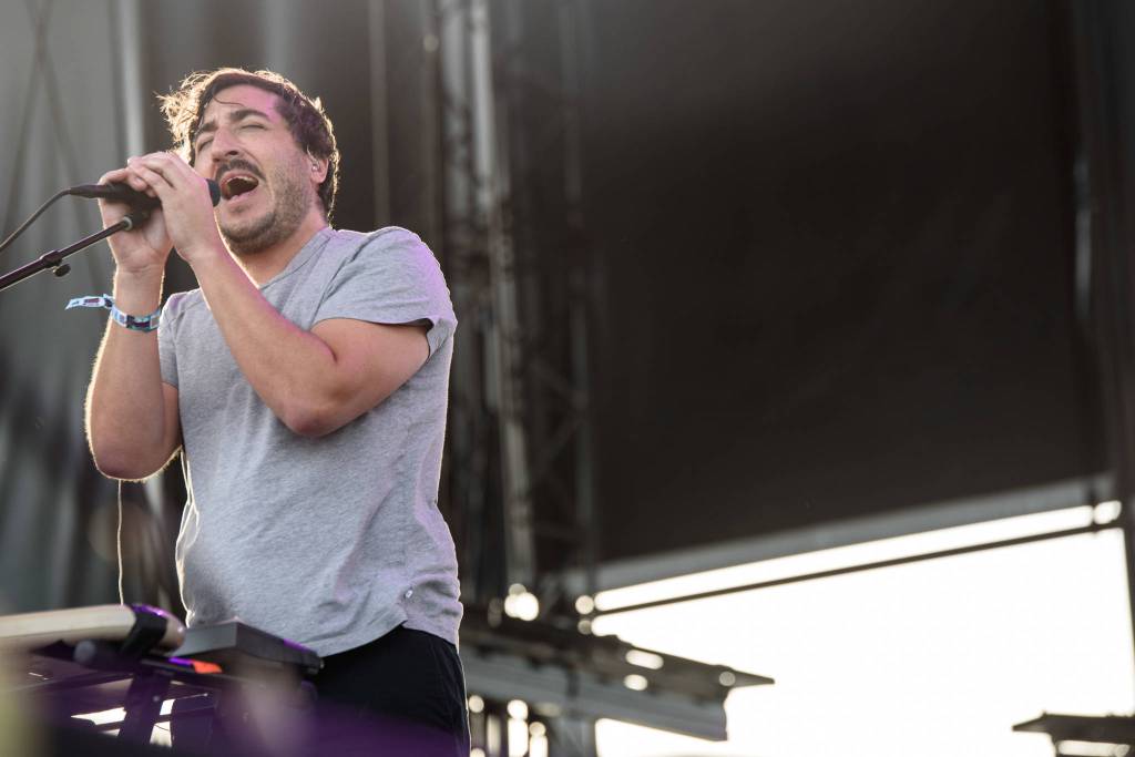 A Grizzly Bear in the wild.