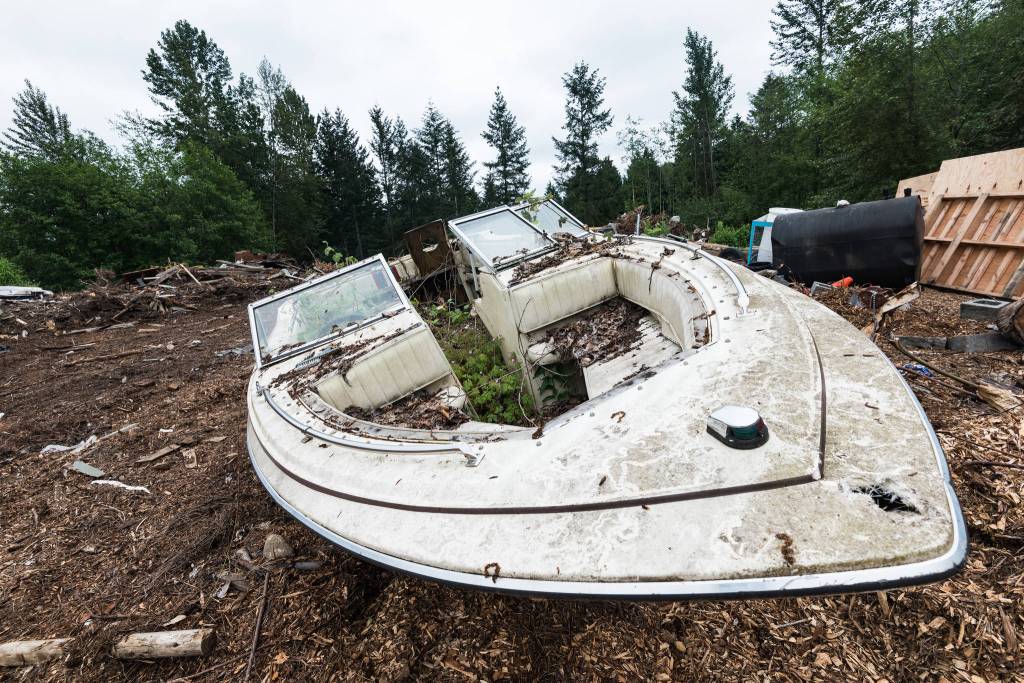 An old boat finds its new purpose as a plant pot. Many of the vehicles have sprouted plant life from within. Photo by Caean Couto