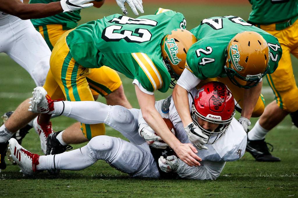 Archbishop Murphys Ray Pimentel is smothered by Tumwaters Jack Prentice (43) and Mason Burbridge (24) during a Class 2A semifinal state football game at Sparks Stadium in Puyallup. Photo by Ian Terry/The Herald