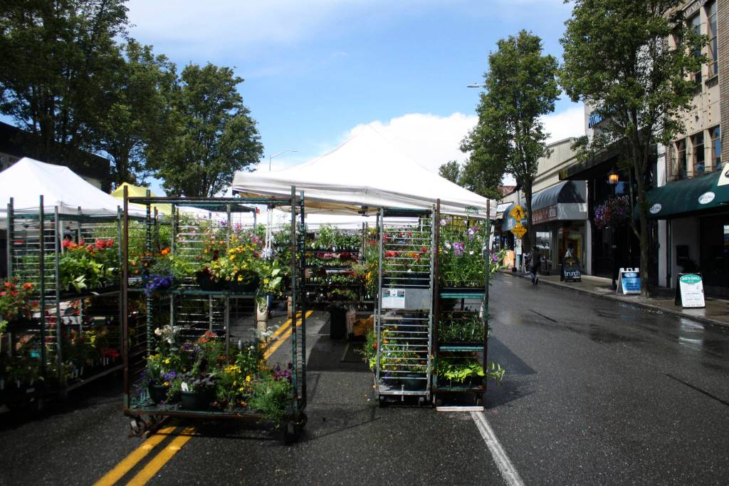 The West Seattle Farmers Market on June 10, 2018. Photo by Melissa Hellmann