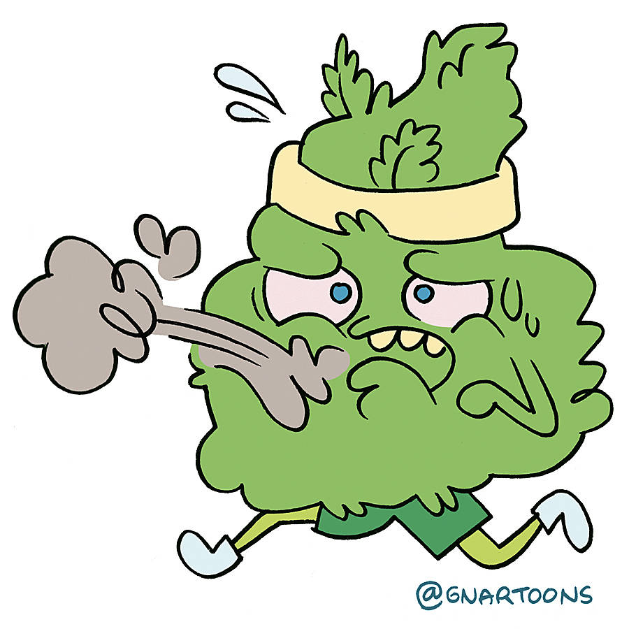 Illustration by James the Stanton