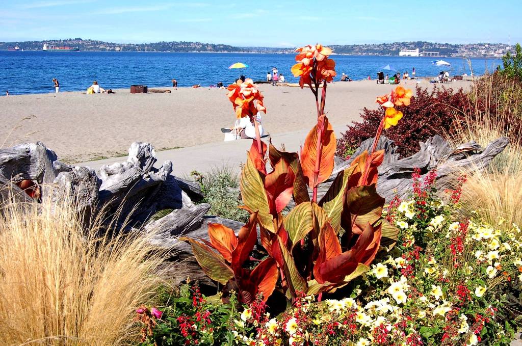 Alki Beach. Photo by Laurel Mercury/Seattle Parks & Recreation