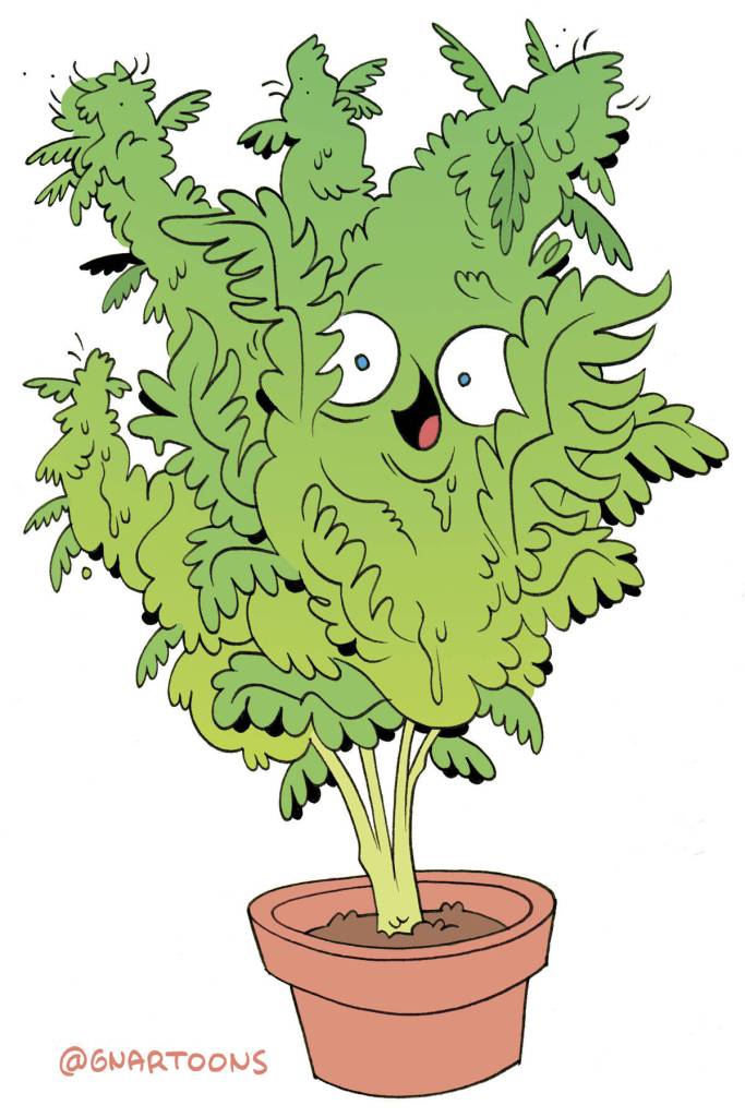 Illustration by James Stanton