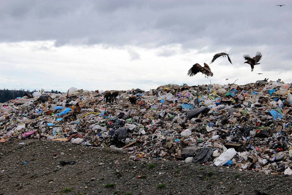 Garbage at the Cedar Hills Regional Landfill in Maple Valley. FILE PHOTO, Seattle Weekly