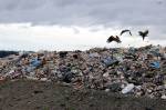 Garbage at the Cedar Hills Regional Landfill in Maple Valley. FILE PHOTO, Seattle Weekly