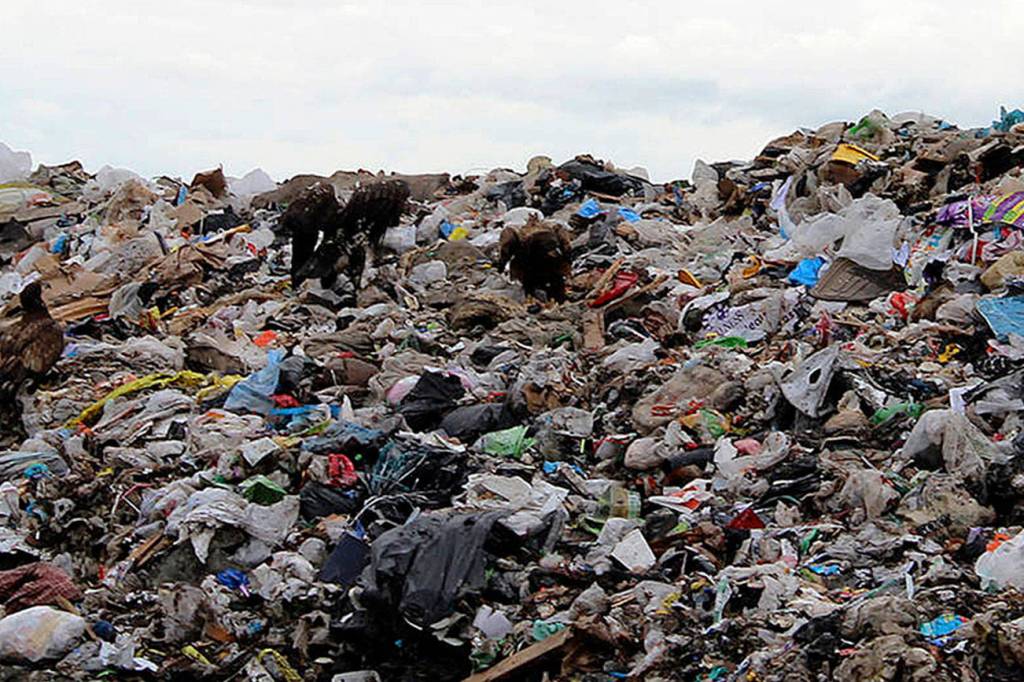 Roundup: King County Considers Expansion of Cedar Hills Landfill; Bellevue CEO Faces Fraud Charges; Federal Way Exits Regional Jail Deal