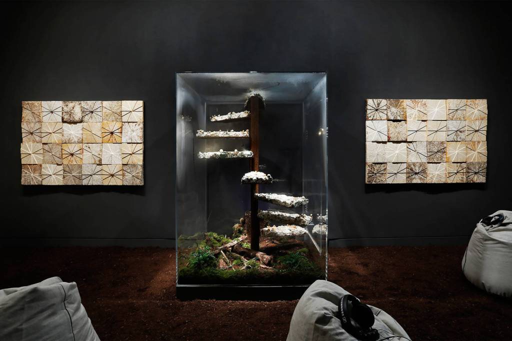 Marcos Lutyens, Library of Babel, a Symbiont Induction, 2018. Photo by Mark Woods