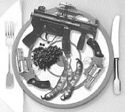 Gunning for family fun