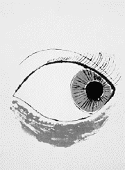 The eyes have it: Warhol's drawings of object as subject.