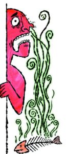 This Election Stinks!