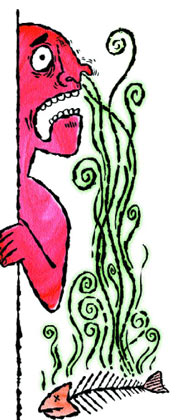 This Election Stinks!